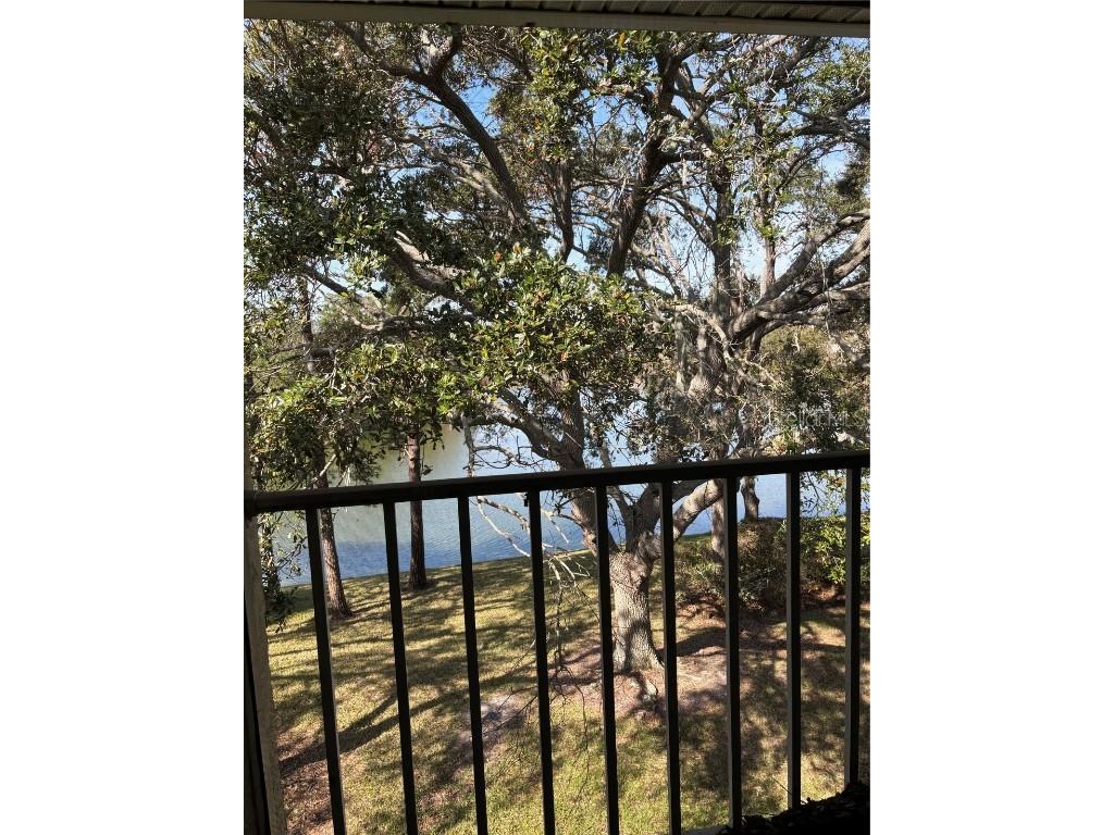 2690 Coral Landings Boulevard #538 Palm Harbor FL 34684 TB8347174 image6