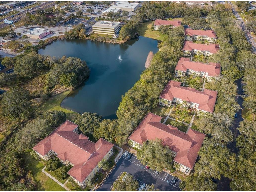 2690 Coral Landings Boulevard #622 Palm Harbor FL 34684 TB8454347 image28