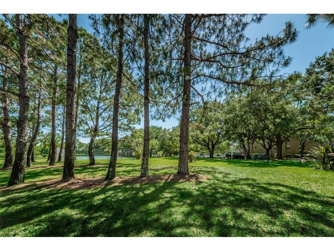 2690 Coral Landings Boulevard #622 Palm Harbor FL 34684 TB8454347 image31