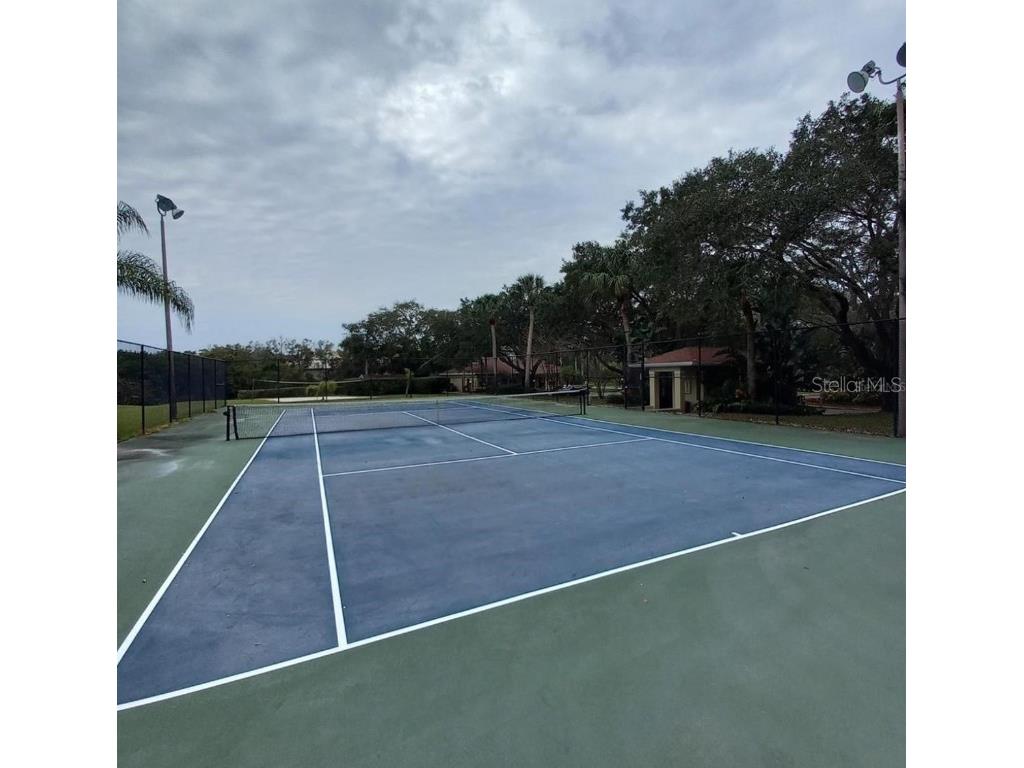 2690 Coral Landings Boulevard #631 Palm Harbor FL 34684 T3490232 image17