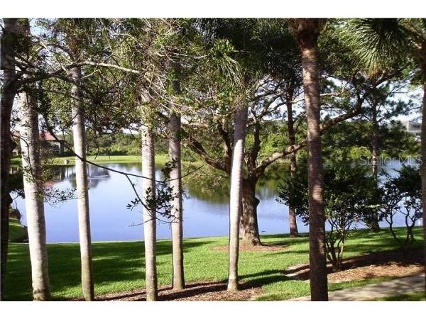 2690 Coral Landings Boulevard #634 Palm Harbor FL 34684 TB8390634 image29