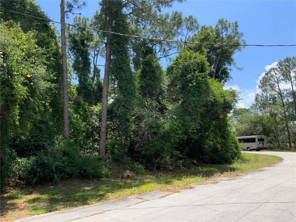 2690 Kingsdale Drive Deltona FL 32738 - LAKE BUTLER A4571816 image3