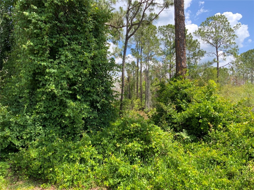 2690 Kingsdale Drive Deltona FL 32738 - LAKE BUTLER A4571816 image4