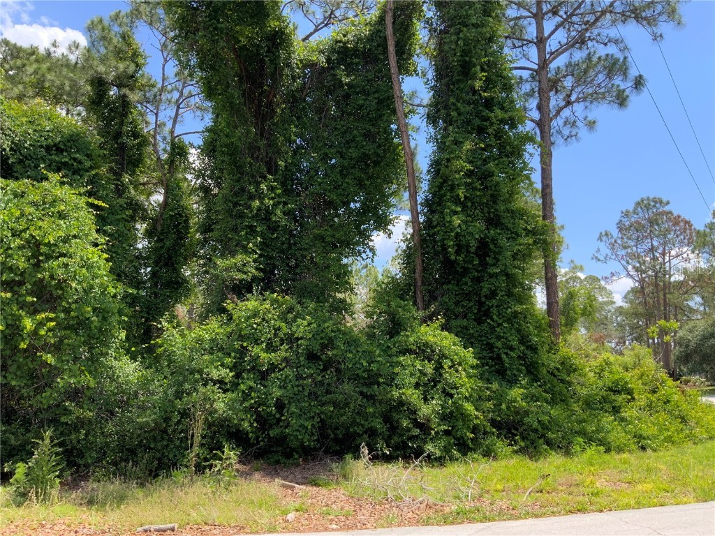 2690 Kingsdale Drive Deltona FL 32738 - LAKE BUTLER A4571816 image6