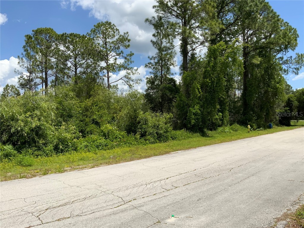 2690 Kingsdale Drive Deltona FL 32738 - LAKE BUTLER A4571816 image7