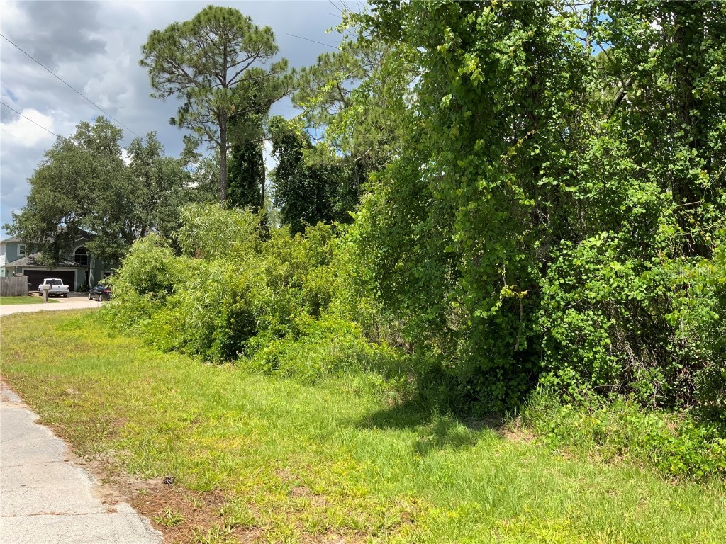 2690 Kingsdale Drive Deltona FL 32738 - LAKE BUTLER A4571816 image9