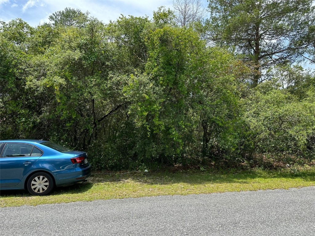 2690 SW 153rd Place Road Ocala FL 34473 O6116736 image1