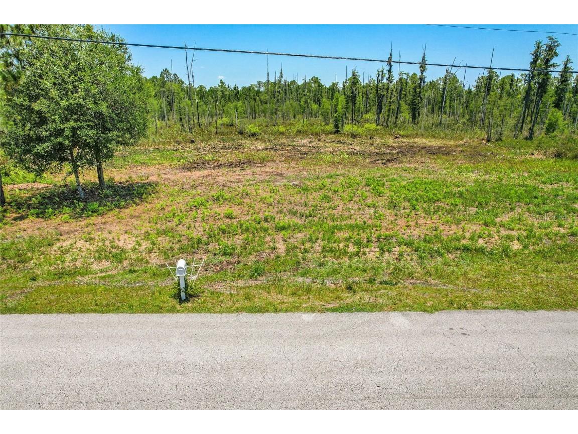 26901 Green Willow Run Wesley Chapel FL 33544 T3451173 image1