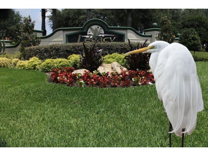 26903 Honeymoon Avenue Leesburg FL 34748 G5109408 image25