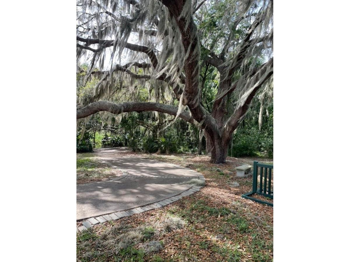 26903 Honeymoon Avenue Leesburg FL 34748 G5109408 image38