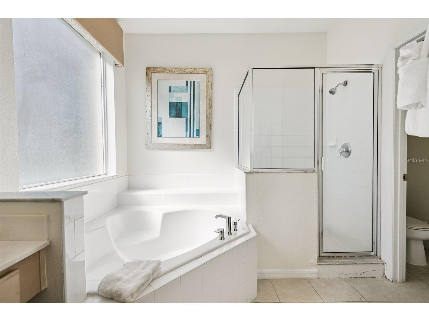2691 La Isla Court Kissimmee FL 34747 S5142120 image22
