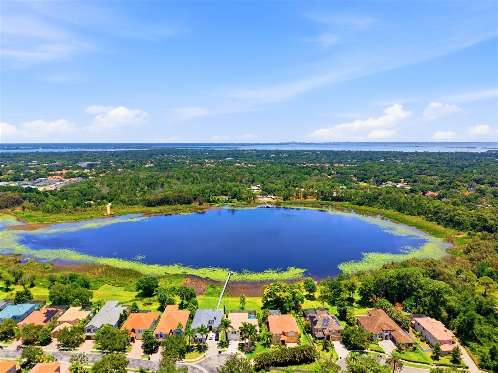 2691 Lakebreeze Lane S Clearwater FL 33759 - CHAUTAUQUA LAKE TB8517407 image64