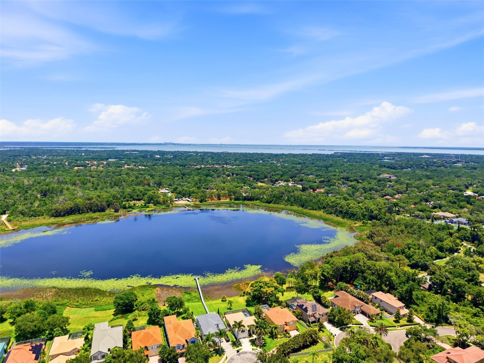 2691 Lakebreeze Lane S Clearwater FL 33759 - CHAUTAUQUA LAKE TB8517407 image65