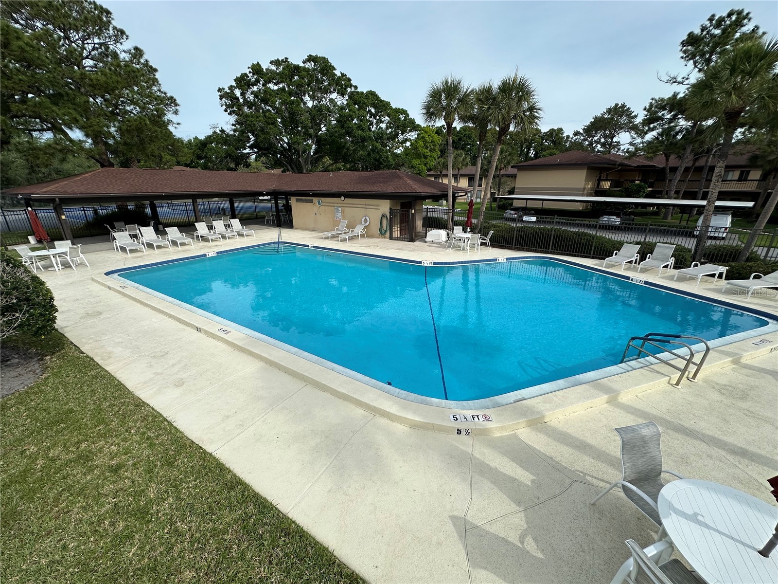 2691 Sabal Springs Circle #201 Clearwater FL 33761 TB8499185 image62