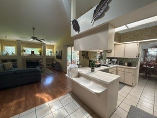 26912 Becker Court Leesburg FL 34748 S5150365 image7