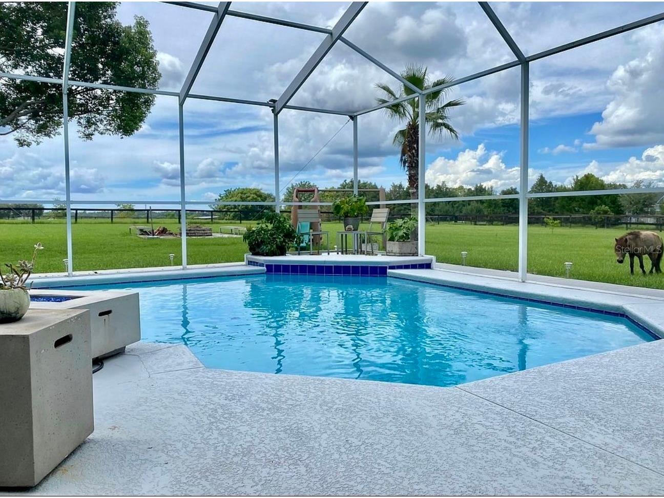 26914 Mondon Hill Road Brooksville FL 34601 TB8481123 image18