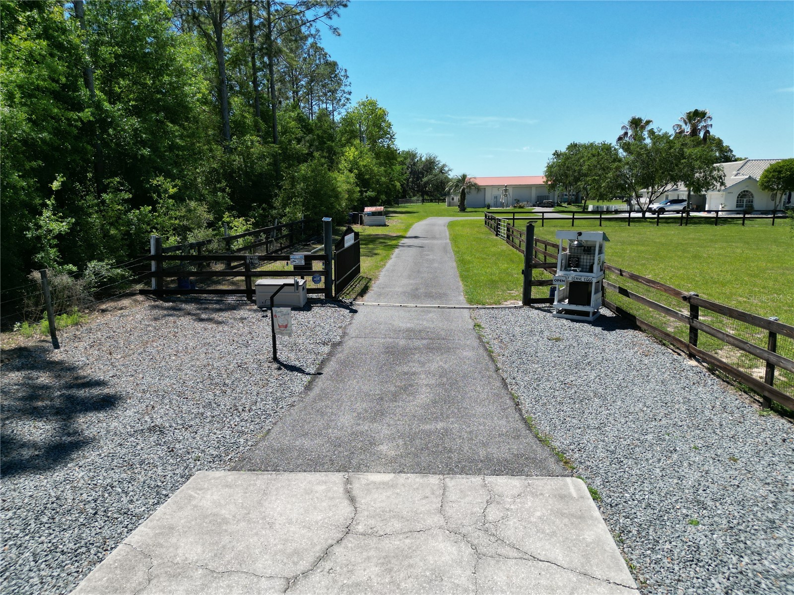 26914 Mondon Hill Road Brooksville FL 34601 TB8481123 image27
