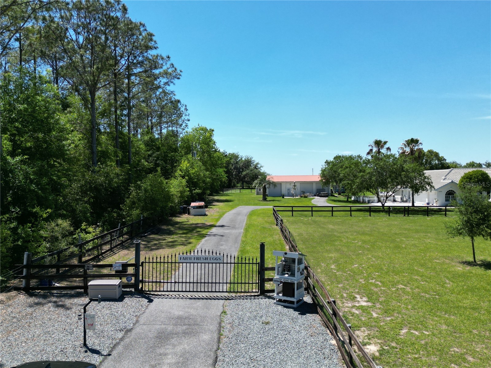 26914 Mondon Hill Road Brooksville FL 34601 TB8481123 image39