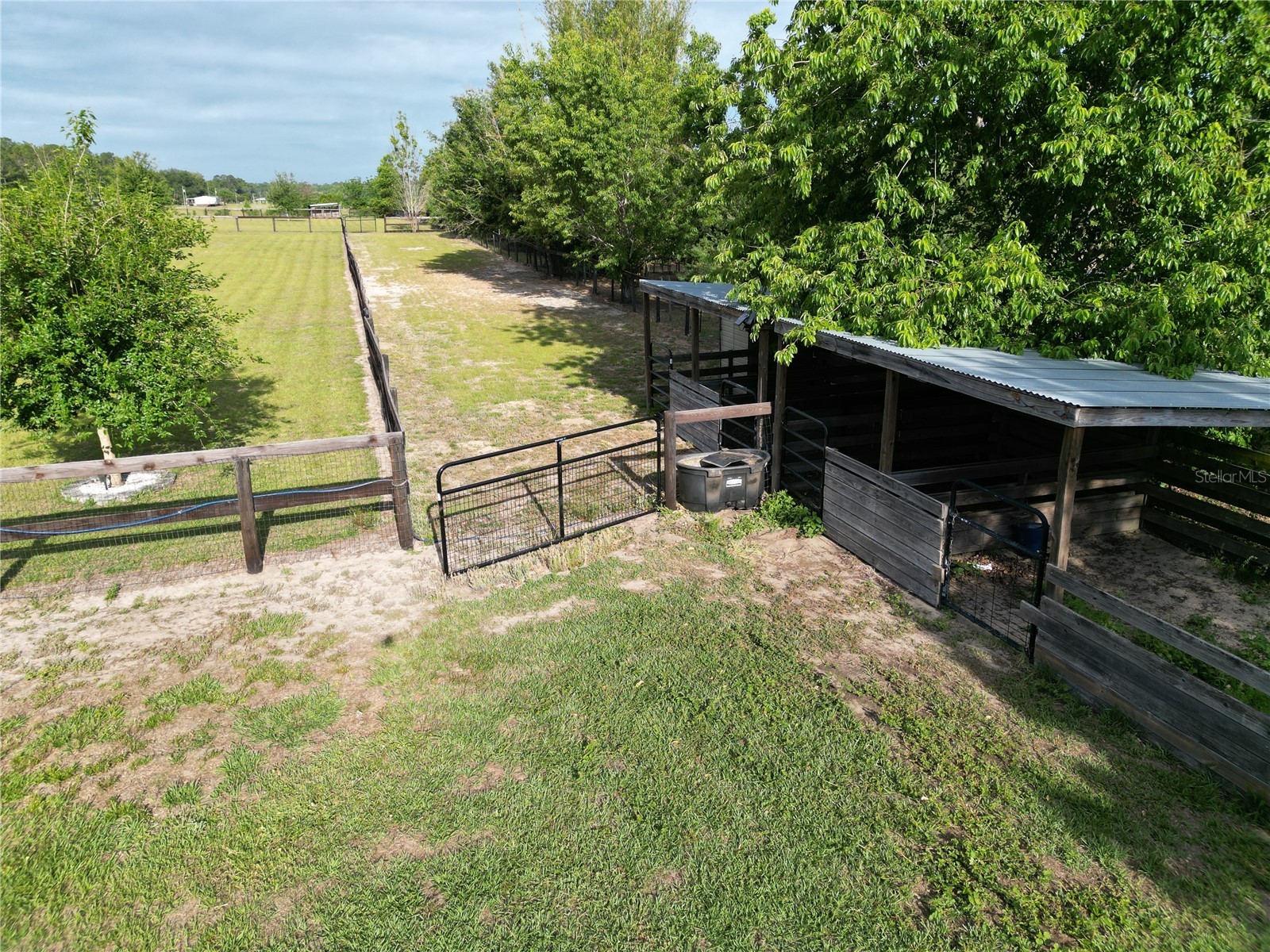 26914 Mondon Hill Road Brooksville FL 34601 TB8481123 image64