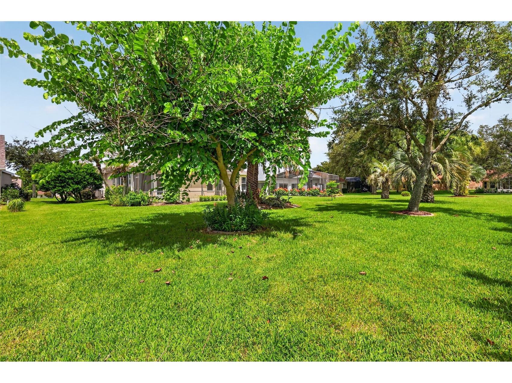 26915 Honeymoon Avenue Leesburg FL 34748 G5115073 image43