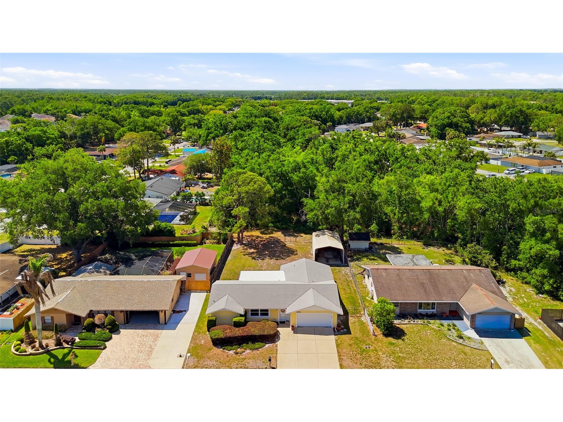 26916 Magnolia Boulevard Lutz FL 33559 TB8498153 image2