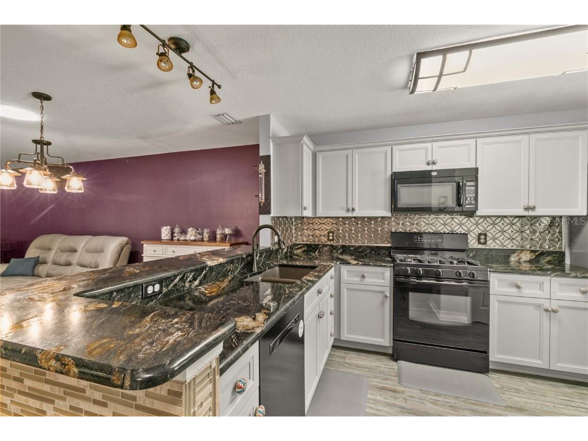 26917 White Plains Way Leesburg FL 34748 G5097949 image26