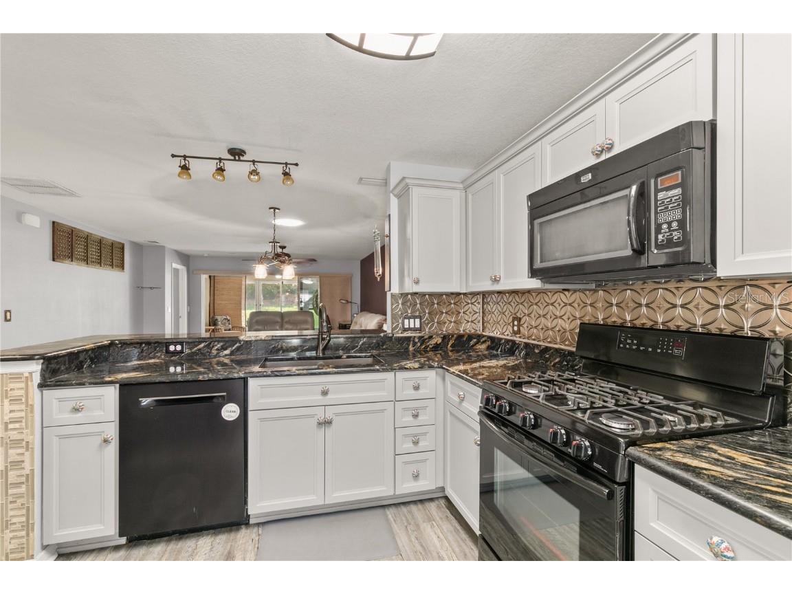 26917 White Plains Way Leesburg FL 34748 G5097949 image3