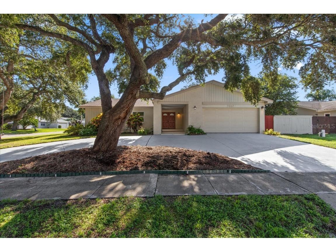 2692 Colony Drive Dunedin FL 34698 U8255595 image1