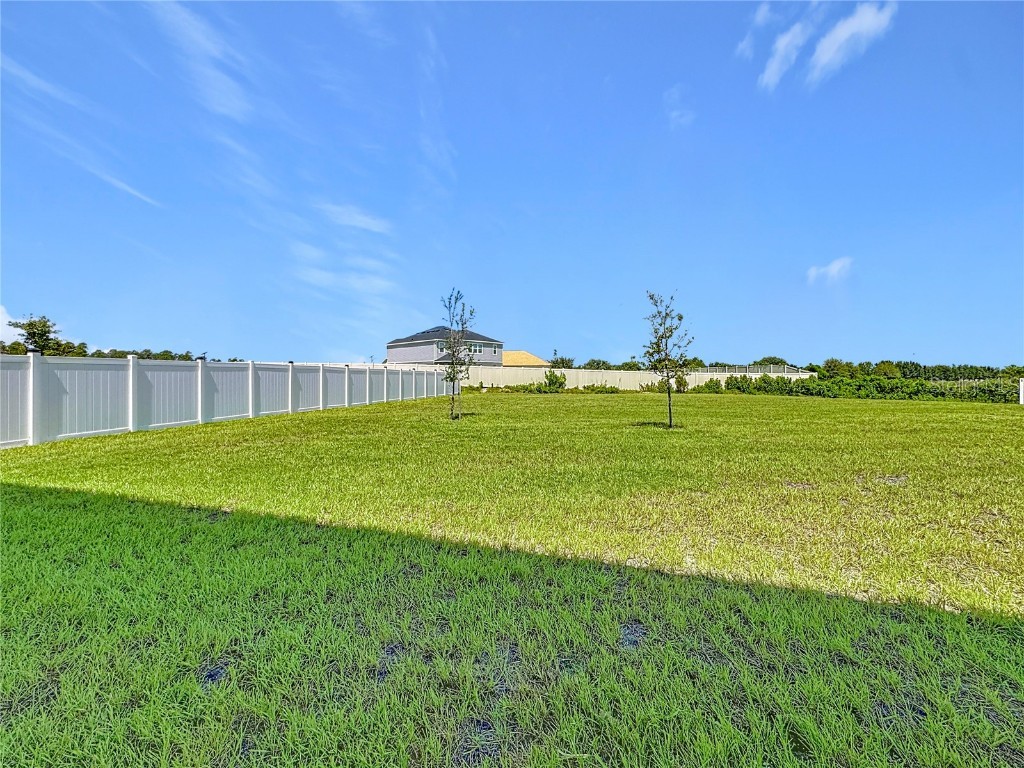 2692 Reddish Egret Bend Harmony FL 34773 O6339826 image40