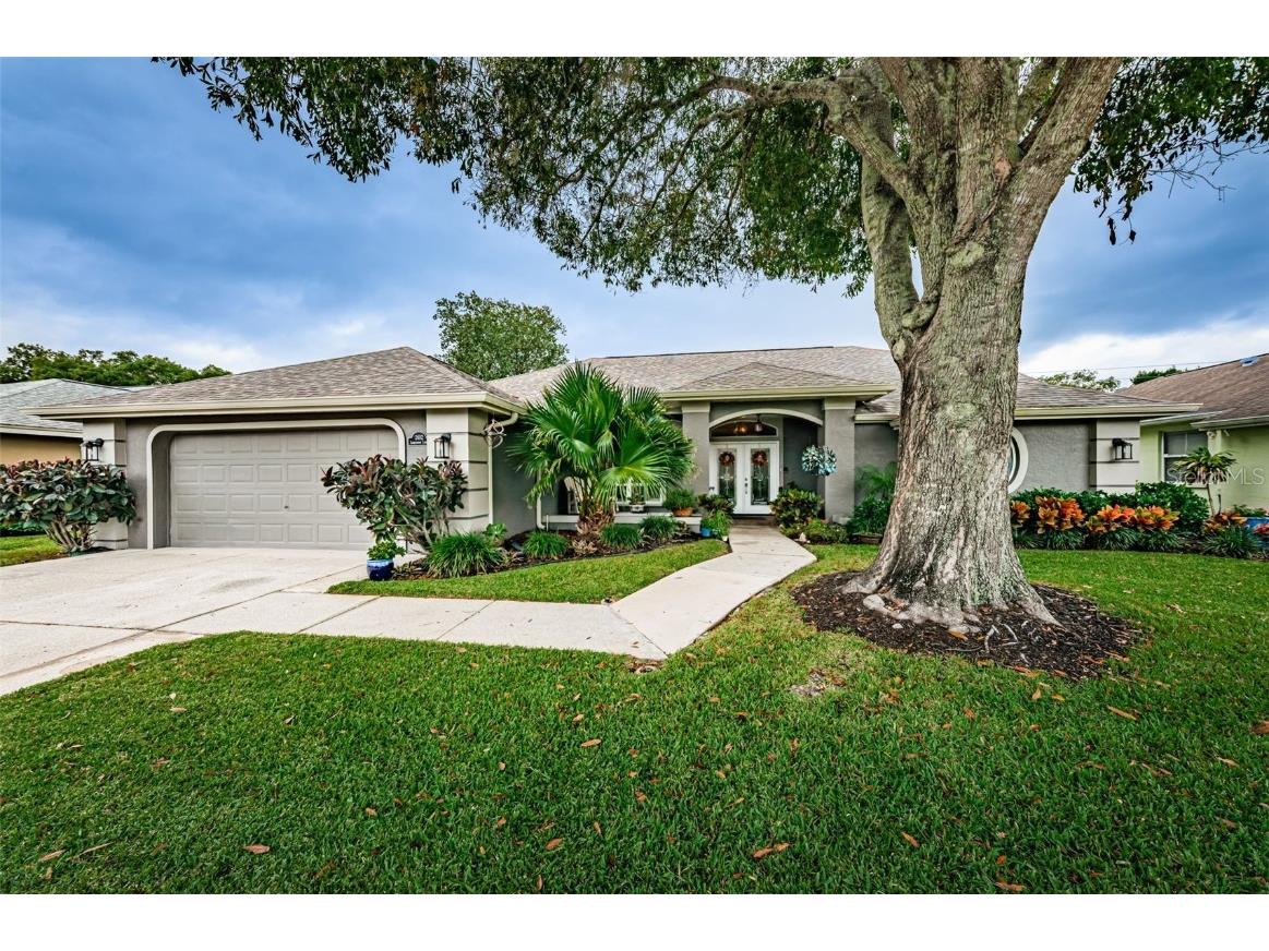 2692 Saddlewood Lane Palm Harbor FL 34685 U8221441 image1