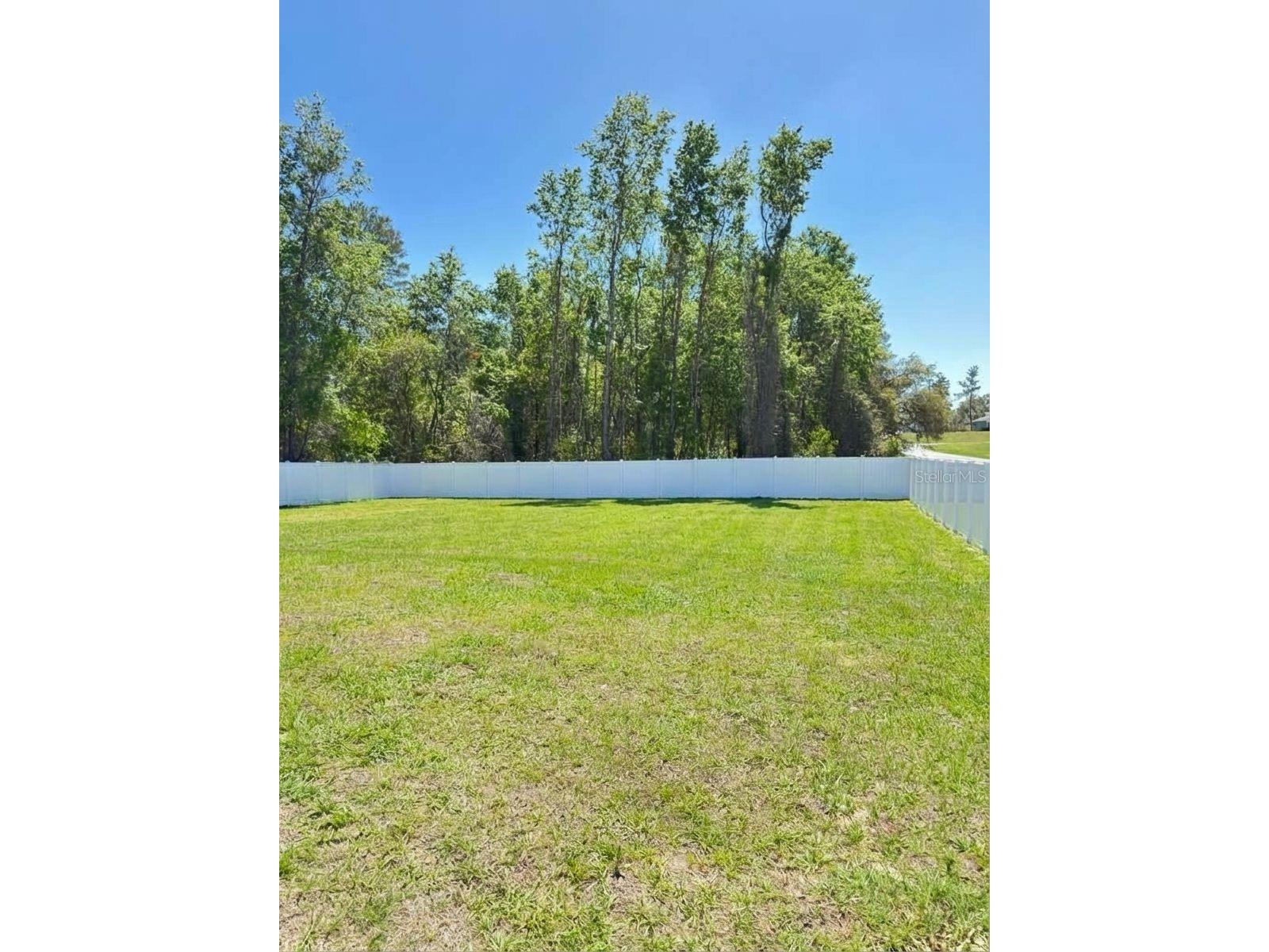 2692 SW 161st Loop Ocala FL 34473 OM721869 image46