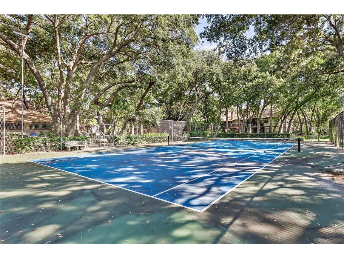 2692 Walnut Drive #1004 Palm Harbor FL 34683 TB8422305 image27