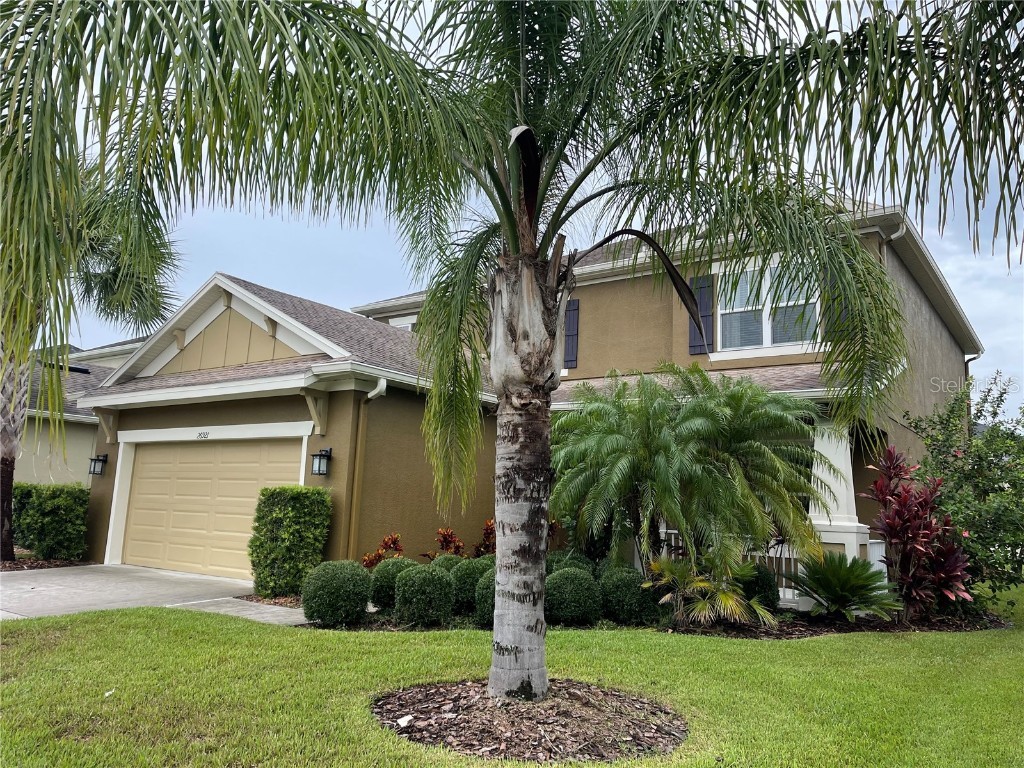 26921 Carolina Aster Drive Wesley Chapel FL 33544 T3541372 image1