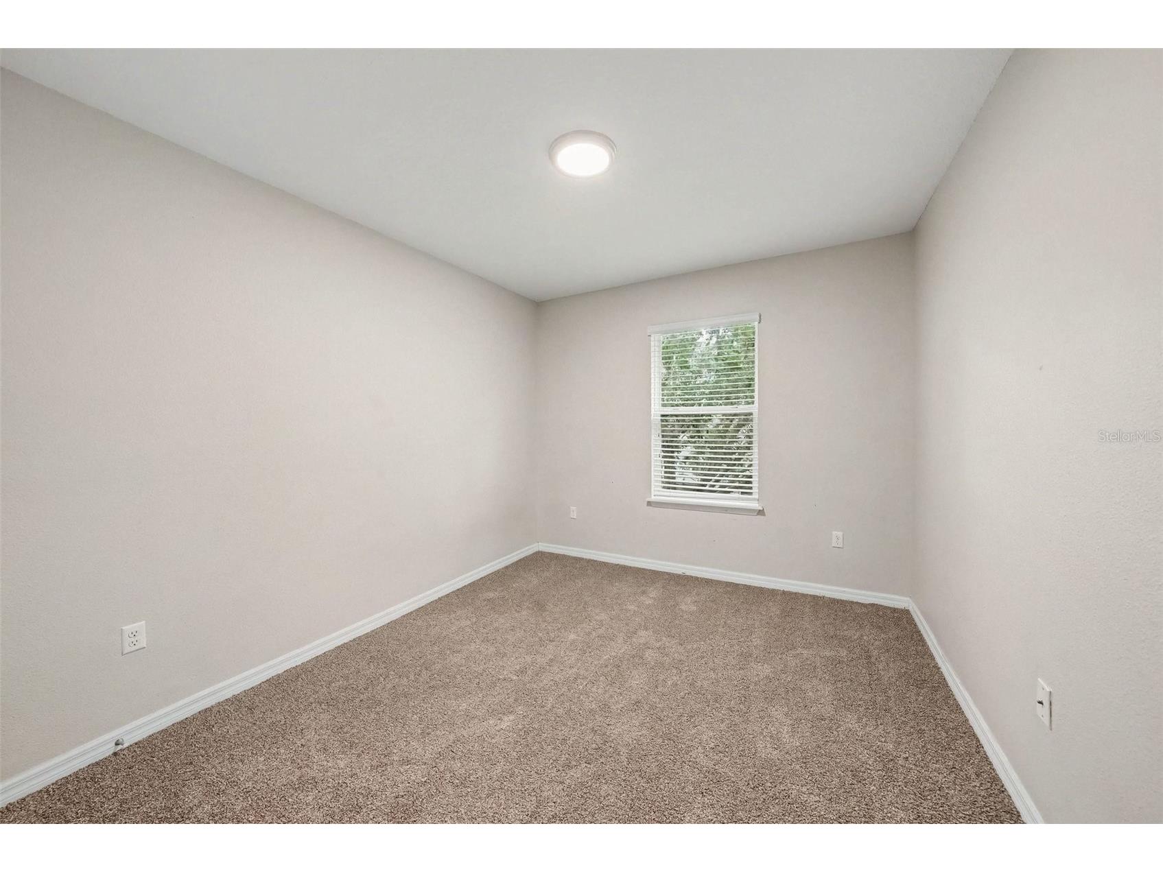 26929 Juniper Bay Drive Wesley Chapel FL 33544 O6422861 image11