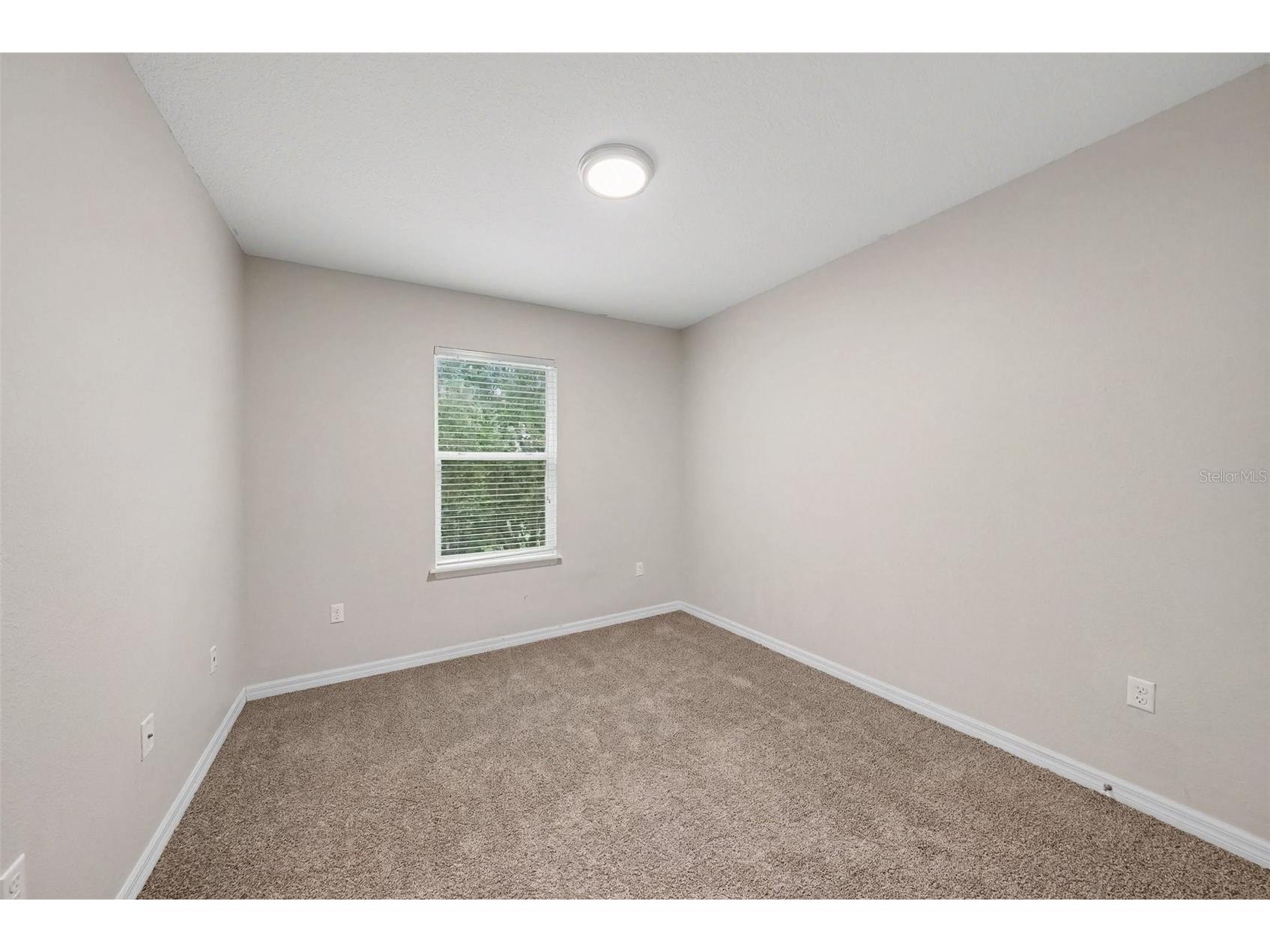 26929 Juniper Bay Drive Wesley Chapel FL 33544 O6422861 image12