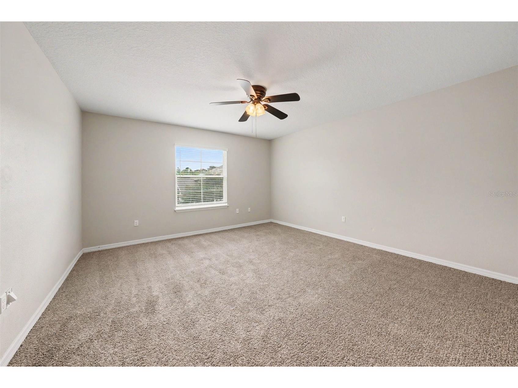 26929 Juniper Bay Drive Wesley Chapel FL 33544 O6422861 image8