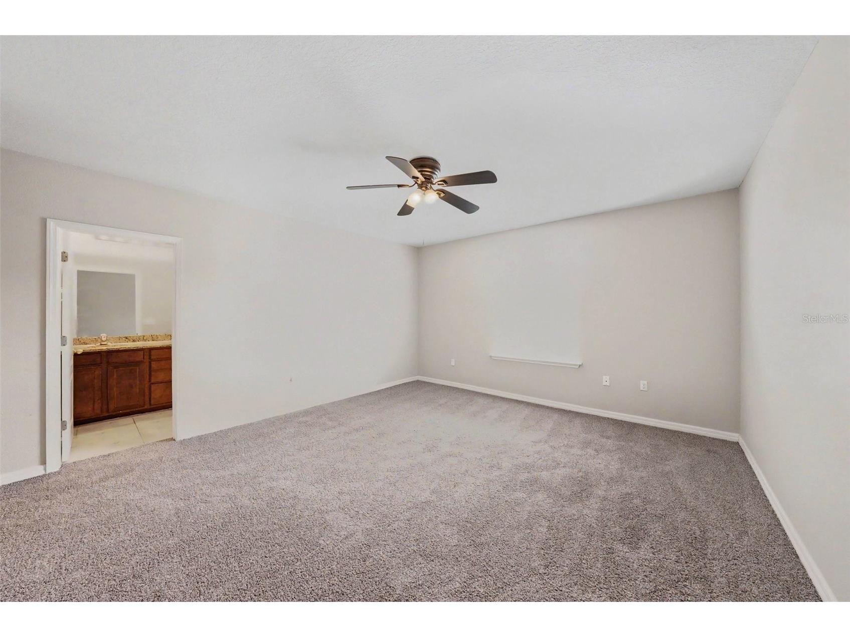 26929 Juniper Bay Drive Wesley Chapel FL 33544 O6422861 image9