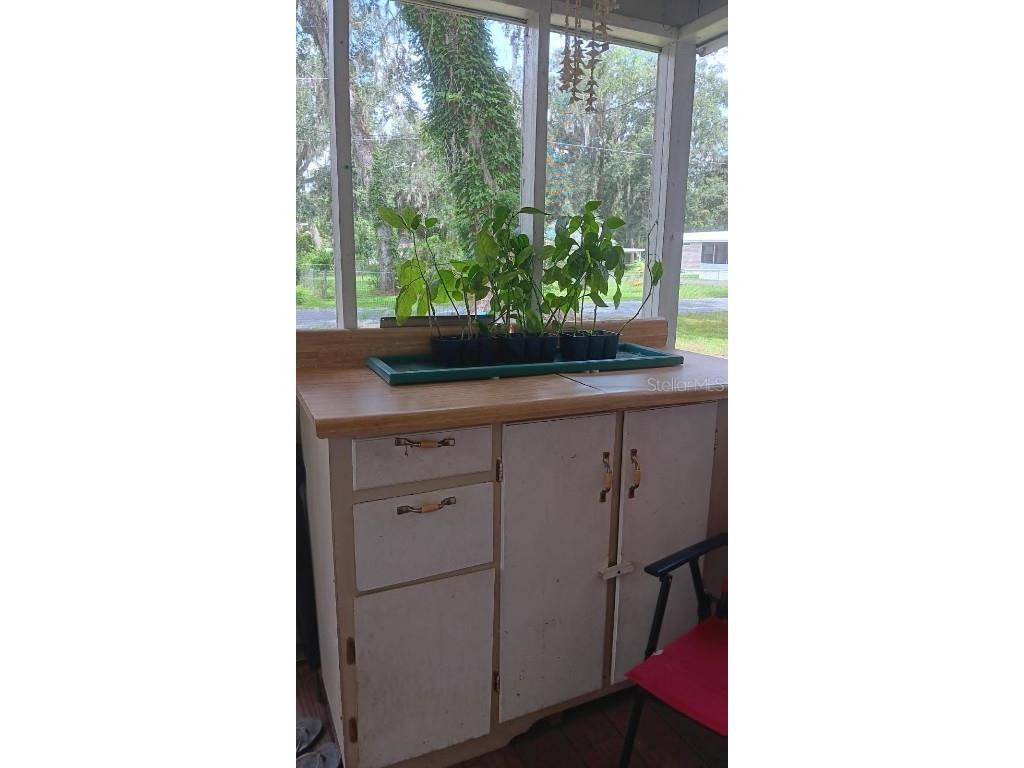 2693 Cr 426f Lake Panasoffkee FL 33538 G5099790 image18