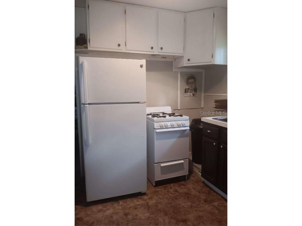 2693 Cr 426f Lake Panasoffkee FL 33538 G5099790 image3