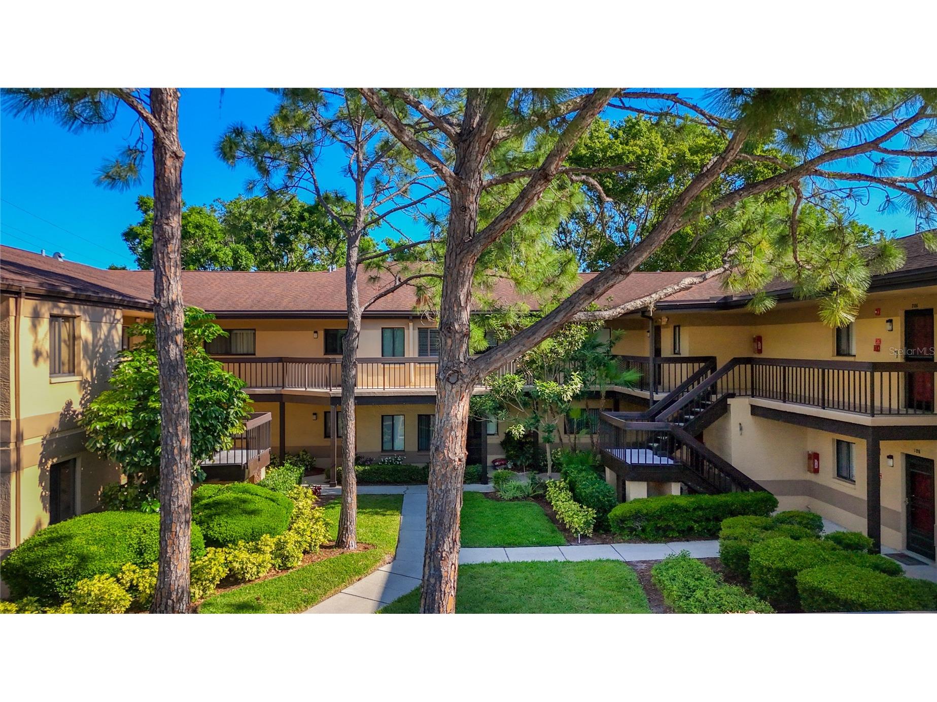 2693 Sabal Springs Circle #206 Clearwater FL 33761 TB8375873 image3