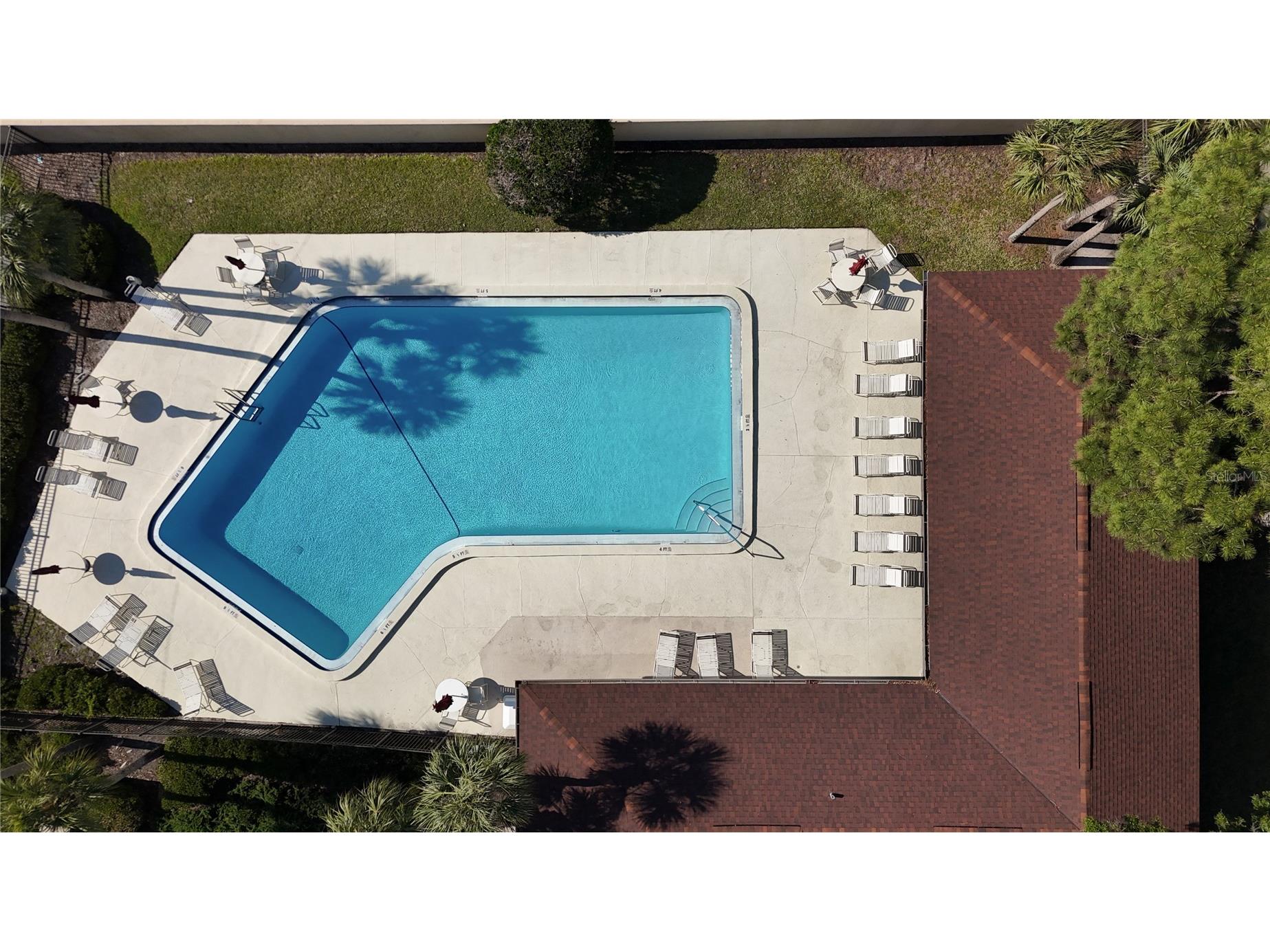 2693 Sabal Springs Circle #206 Clearwater FL 33761 TB8375873 image39