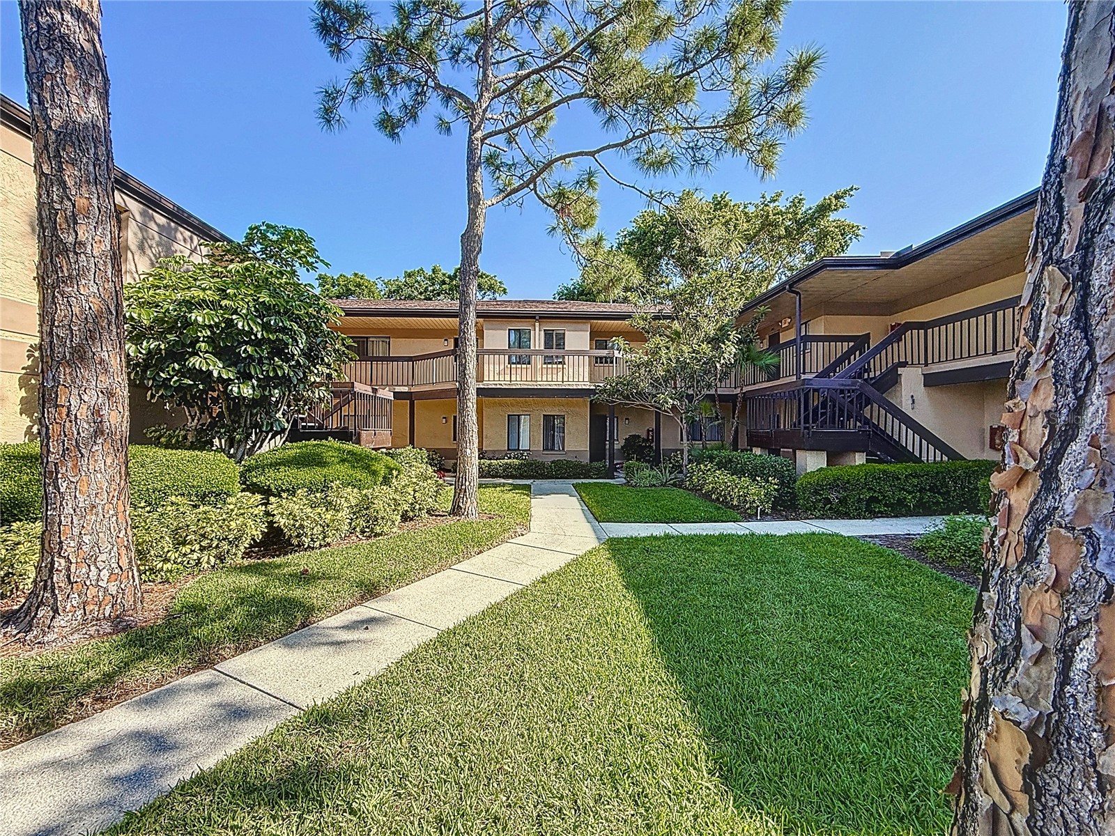 2693 Sabal Springs Circle #206 Clearwater FL 33761 TB8375873 image4