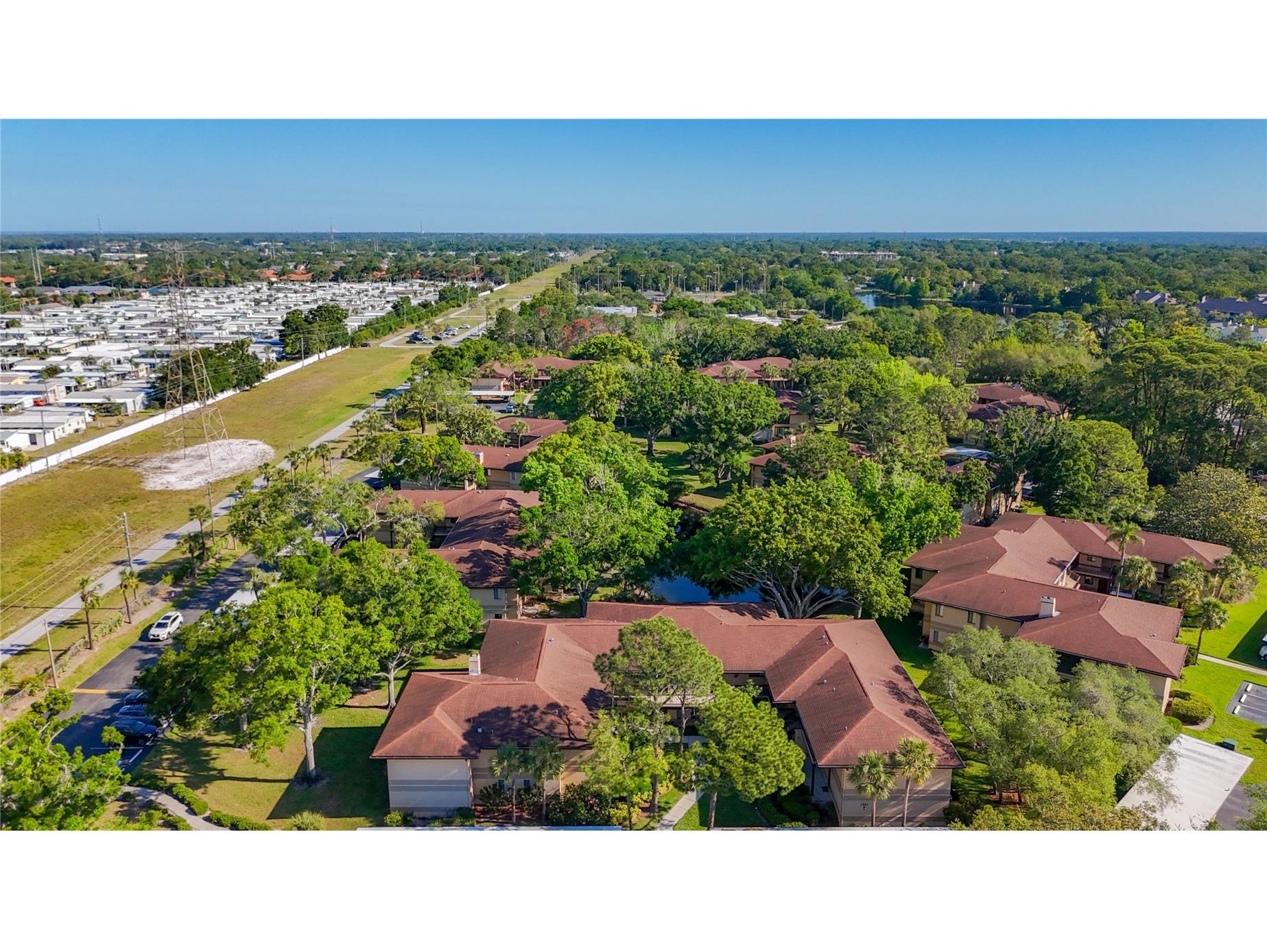 2693 Sabal Springs Circle #206 Clearwater FL 33761 TB8375873 image40