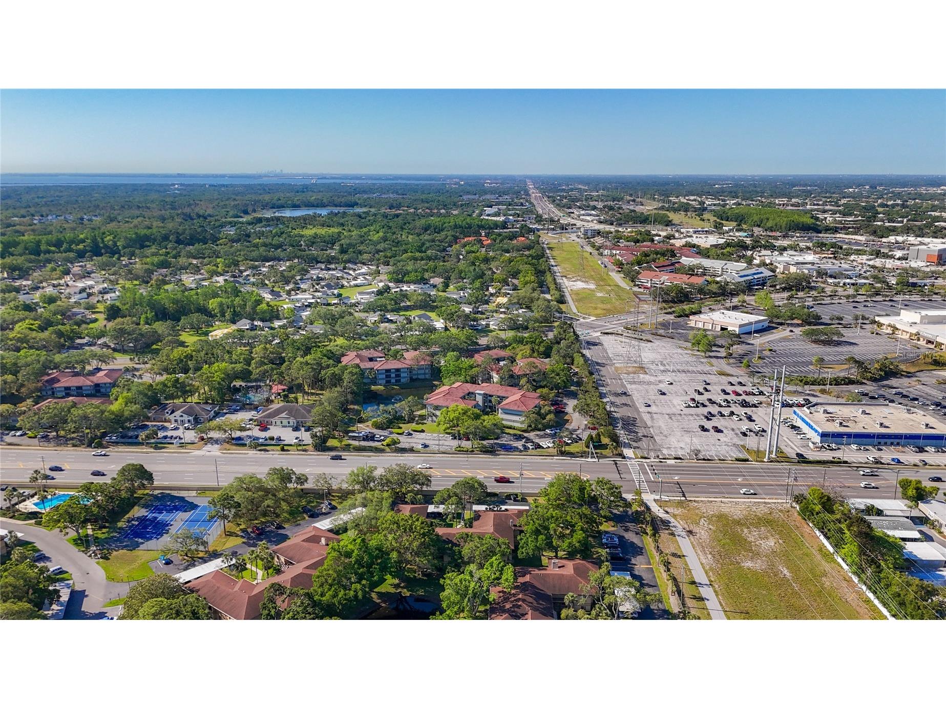 2693 Sabal Springs Circle #206 Clearwater FL 33761 TB8375873 image42