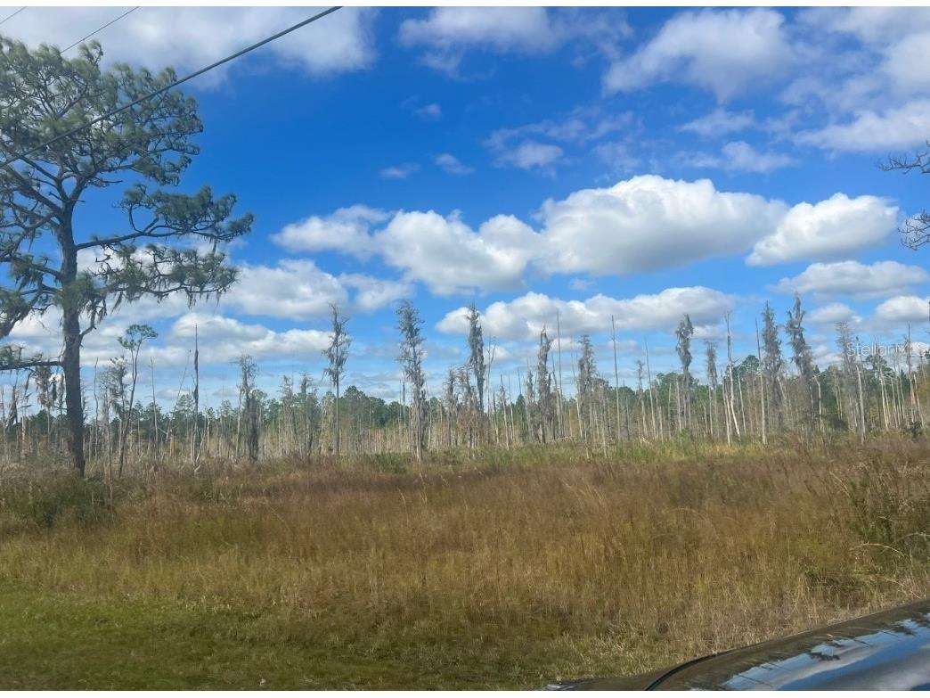 26930 Green Willow Run Wesley Chapel FL 33544 W7851666 image1