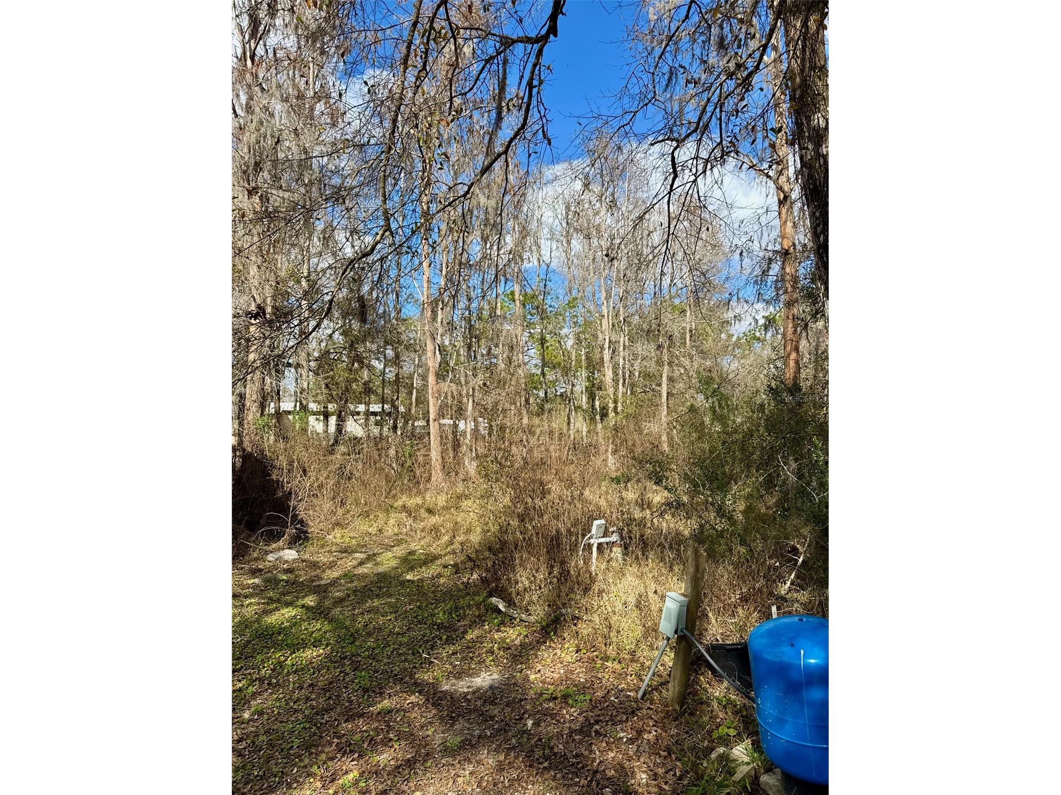 26931 Deacon Loop Zephyrhills FL 33544 TB8478076 image5