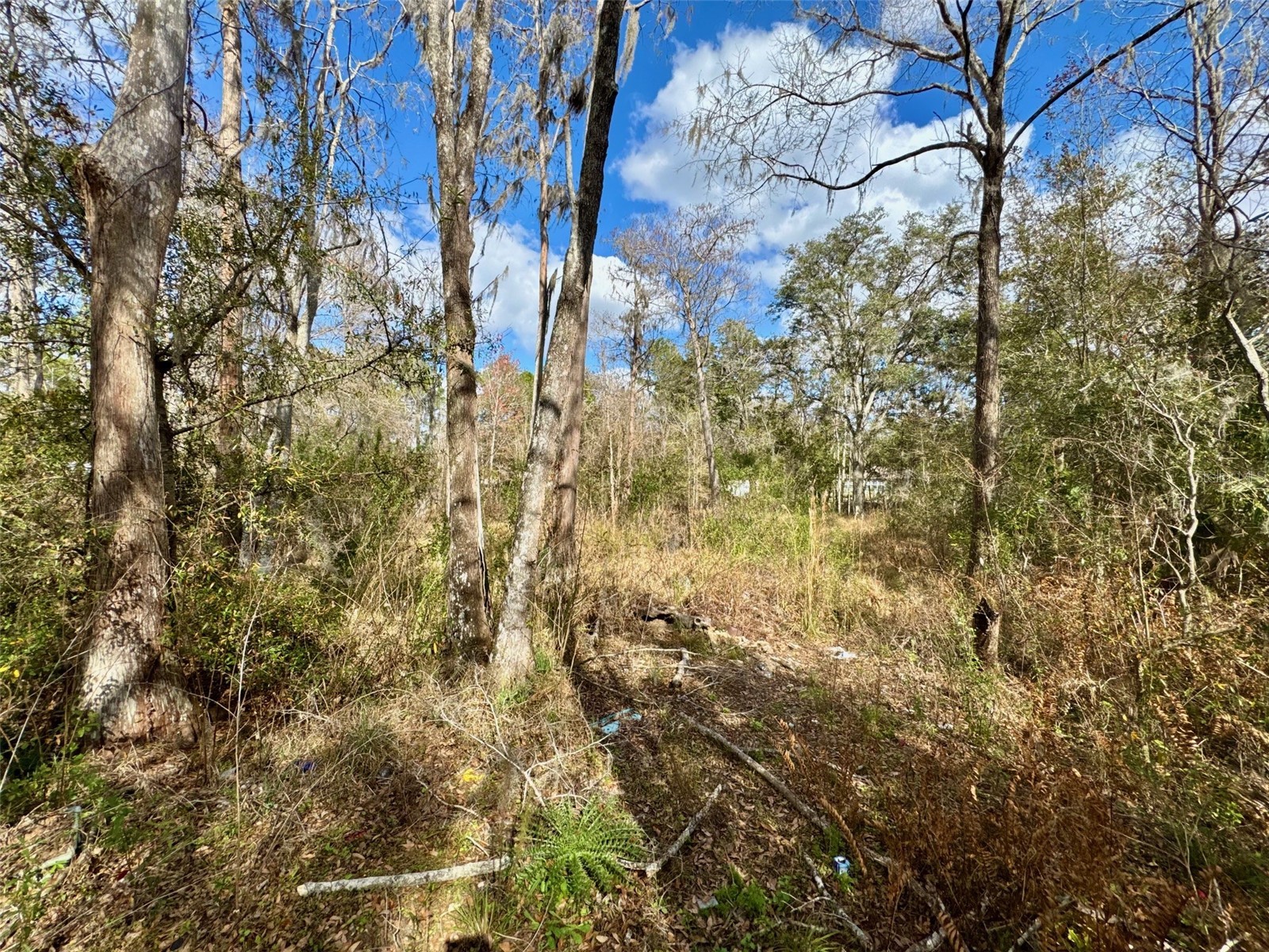 26931 Deacon Loop Zephyrhills FL 33544 TB8478076 image6