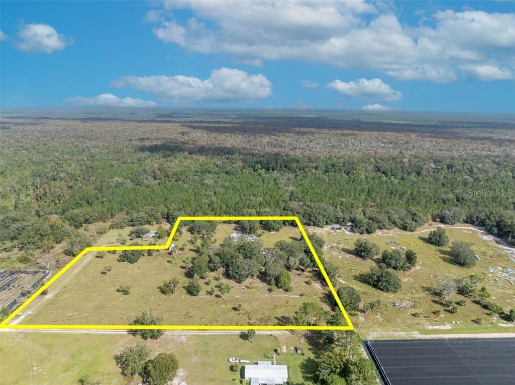 26931 White Egret Lane Eustis FL 32736 O6252323 image1