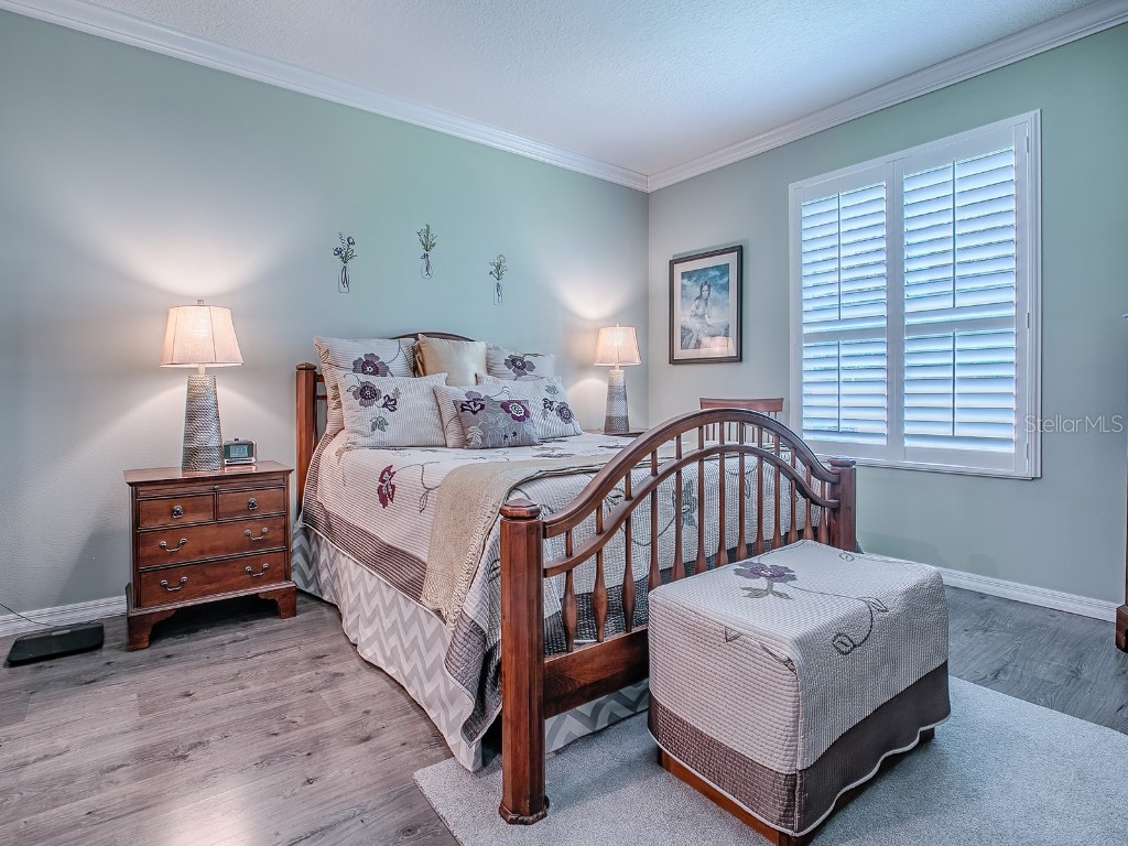 26939 White Plains Way Leesburg FL 34748 G5102246 image19