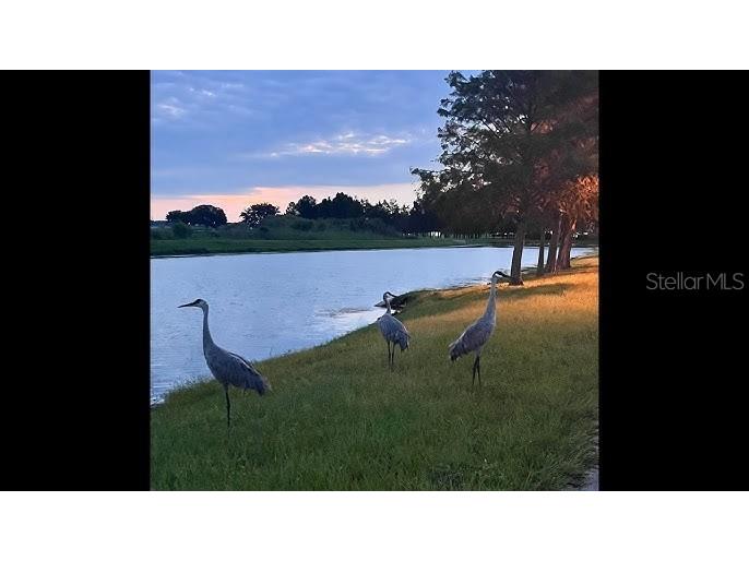 2694 Sunkissed Drive Saint Cloud FL 34771 O6415669 image39